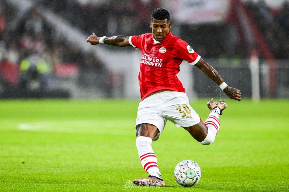 可以预见 可以预见